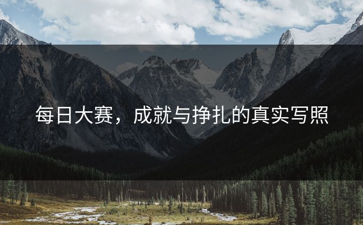 每日大赛，成就与挣扎的真实写照
